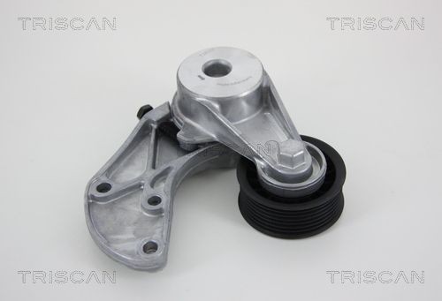 TRISCAN 8641293034 Tensioner pulley 955 102 299 00