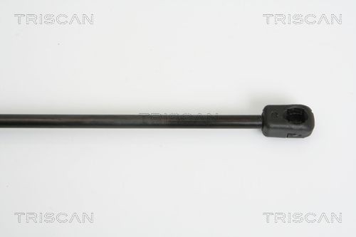 871010206 Boot gas struts TRISCAN 8710 10206 review and test