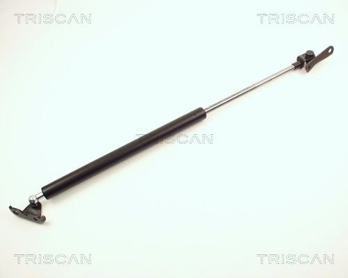 Tailgate strut TRISCAN 600N, 540 mm, Left - 8710 13234