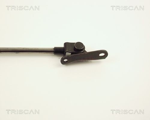 871013234 Boot gas struts TRISCAN 8710 13234 review and test