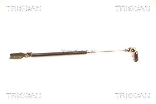 TRISCAN 8710 14232 Tailgate strut NISSAN experience and price