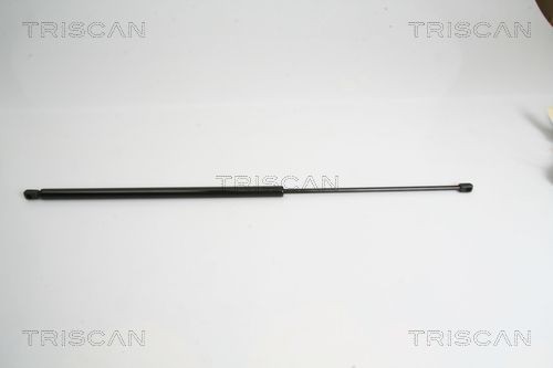 Original 8710 15234 TRISCAN Tailgate struts FIAT