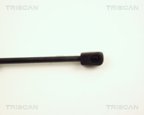 871016227 Boot gas struts TRISCAN 8710 16227 review and test