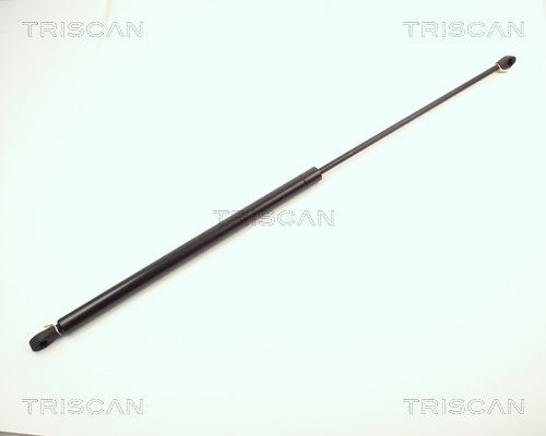 Original 8710 2004 TRISCAN Boot struts experience and price