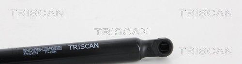 TRISCAN Gas struts 8710 24239
