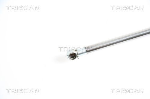 871025227 Boot gas struts TRISCAN 8710 25227 review and test