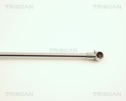 871027209 Boot gas struts TRISCAN 8710 27209 review and test