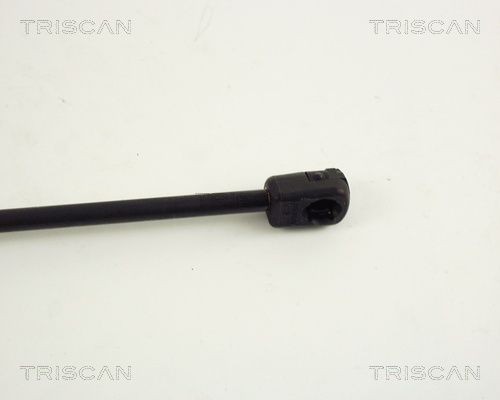 871027214 Boot gas struts TRISCAN 8710 27214 review and test