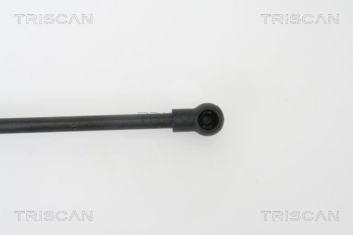 871027215 Boot gas struts TRISCAN 8710 27215 review and test