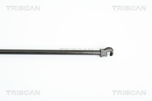 871027216 Boot gas struts TRISCAN 8710 27216 review and test