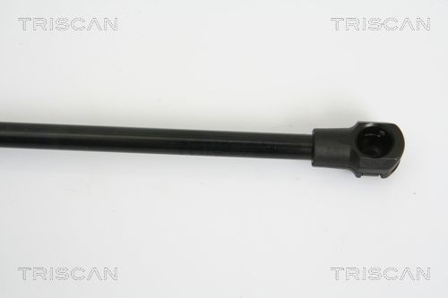 871027217 Boot gas struts TRISCAN 8710 27217 review and test