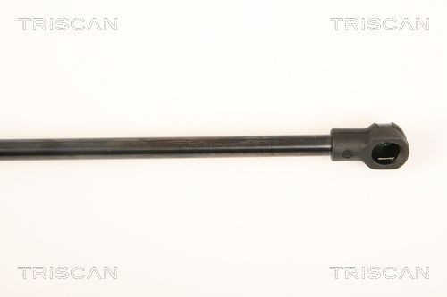 871027220 Boot gas struts TRISCAN 8710 27220 review and test