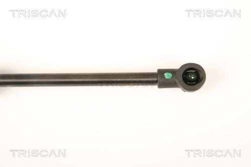 871027221 Boot gas struts TRISCAN 8710 27221 review and test