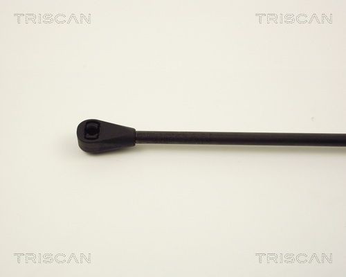 87102805 Boot gas struts TRISCAN 8710 2805 review and test