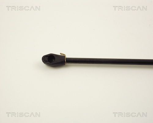 87102808 Boot gas struts TRISCAN 8710 2808 review and test