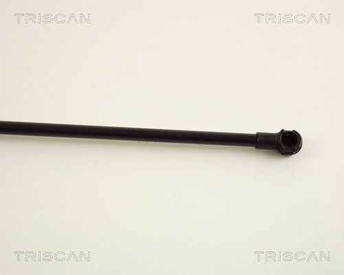 871029236 Boot gas struts TRISCAN 8710 29236 review and test