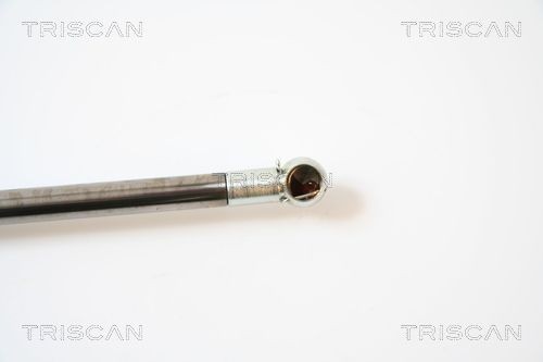 871040227 Boot gas struts TRISCAN 8710 40227 review and test