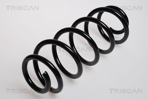 Original 8750 29061 TRISCAN Springs experience and price