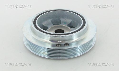 Suspension kit, coil springs TRISCAN - 8755 24021