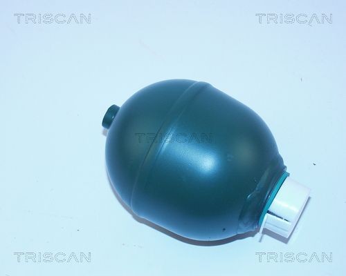 Abs pressure accumulator TRISCAN - 8760 38205