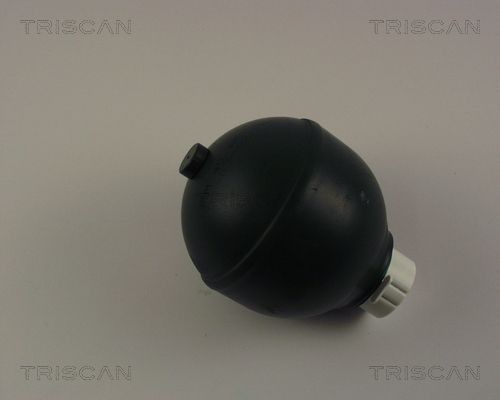 8760 38217 TRISCAN Suspension accumulator buy cheap