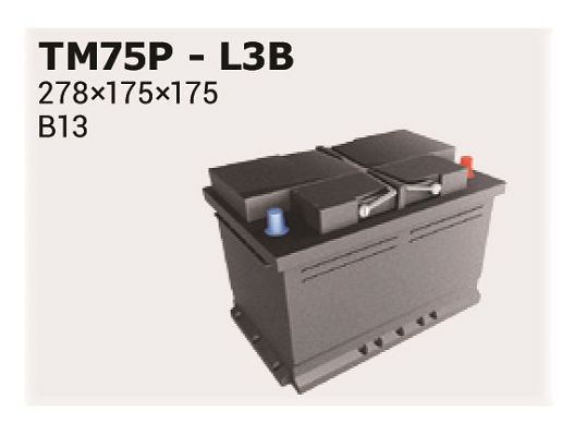 BlackMax Car Battery - Start-Stop, 75 Ah, 12V, AGM Starter Battery -  Replaces 70 Ah / 68 Ah : : Automotive