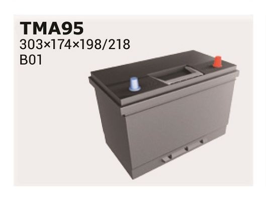 59518 IPSA TMA95 Battery 95D31L