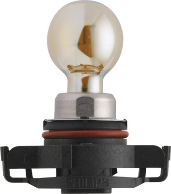 Great value for money - PHILIPS Bulb, indicator 12180SV+C1
