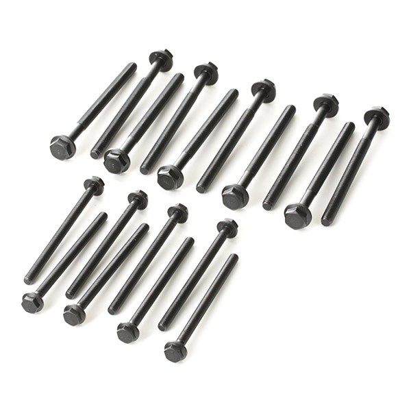 143234101 Bolt Kit, cylinder head REINZ 14-32341-01 review and test
