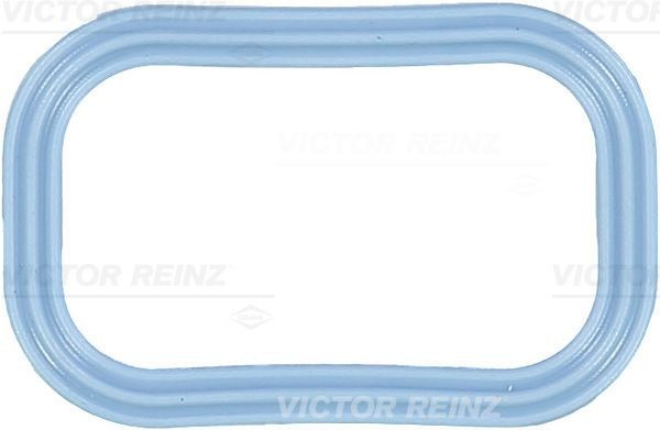 Fiat Ducato 250 Minibus Gaskets and sealing rings parts - Inlet manifold gasket REINZ 71-35539-00