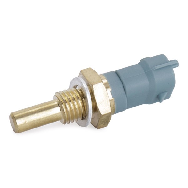 WS2598 Cylinder head temperature sensor CALORSTAT by Vernet WS2598 review and test