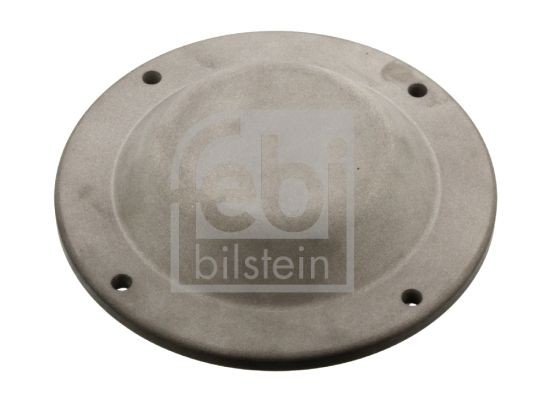 FEBI BILSTEIN 35169 Schutzdeckel, Radnabe für DAF XF 105 LKW in Original Qualität