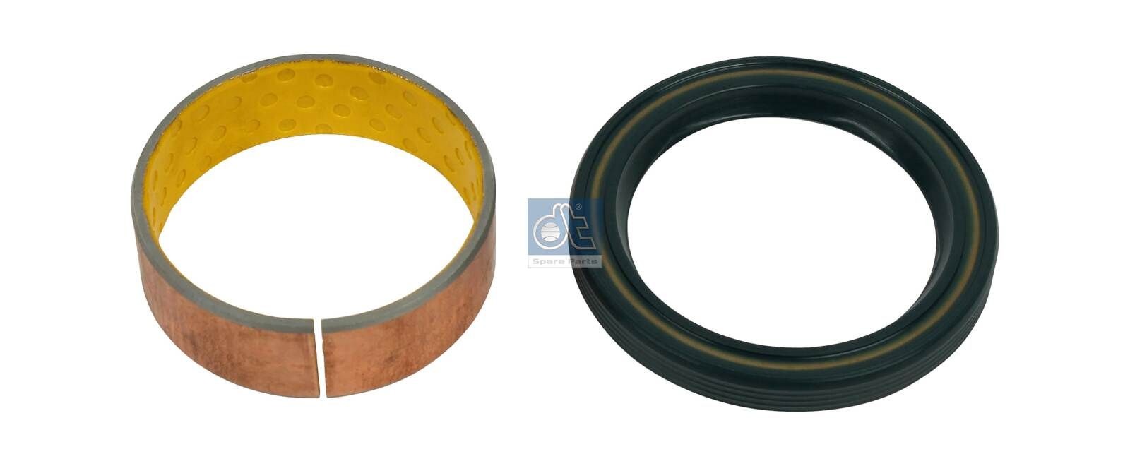 1.31889 DT Spare Parts Bremssattel-Reparatursatz für FUSO (MITSUBISHI) online bestellen