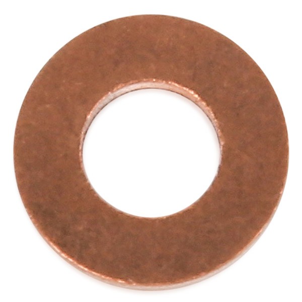 DT Spare Parts Seal Ring, injector 5.41349