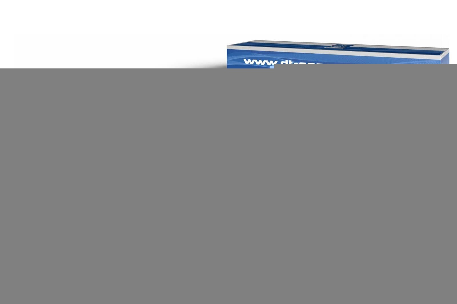 DT Spare Parts 7.12507 Stoßdämpfer für IVECO Stralis LKW in Original Qualität