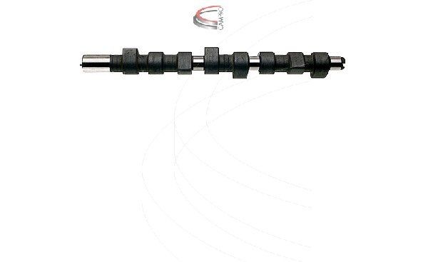 CAMPRO Camshaft kit FIAT DUCATO Panorama (290) new CP16393