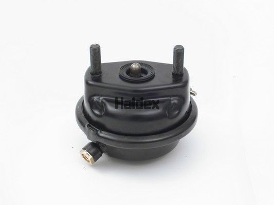 HALDEX Remcilindermembraan 125240402 voor ERF: koop online