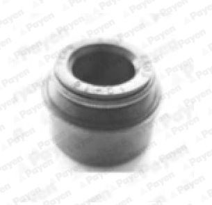 PAYEN NA5205 Shaft Seal, differential