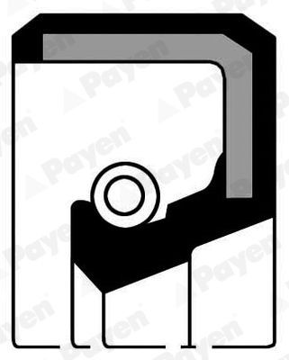 PAYEN Inner Diameter: 29mm, ACM (Polyacrylate) Shaft seal, camshaft NF741 buy