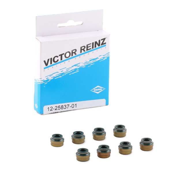 Seal Set, valve stem REINZ 12-25837-01 - Fiat GRANDE PUNTO O-rings spare parts order