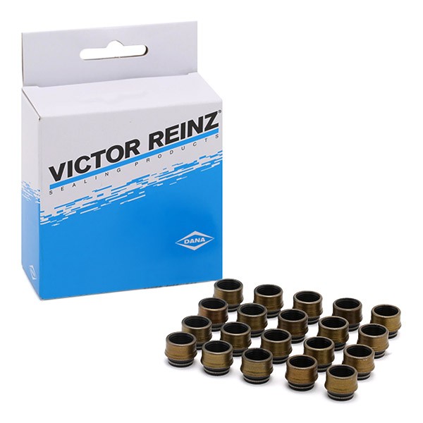 REINZ 12-31306-03 Seal Set, valve stem MERCEDES-BENZ experience and price