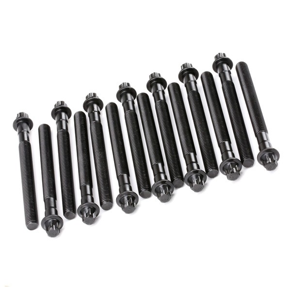 REINZ 14-32101-01 Cylinder head screws price