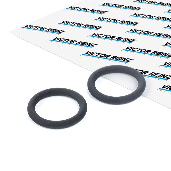 Ford Inlet manifold gasket REINZ 40-76246-00 at a good price