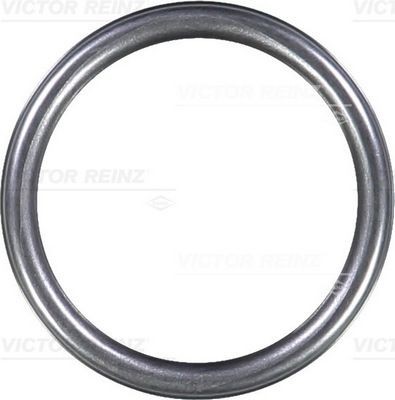 REINZ 40-76313-10 Seal Ring 30,8 x 3,7 mm, FPM (fluoride rubber)