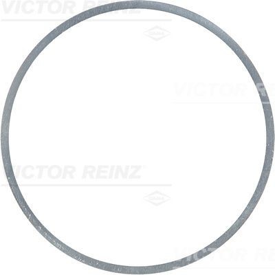 REINZ 110,1 x 0,2 mm, Steel Seal Ring 41-83177-10 buy