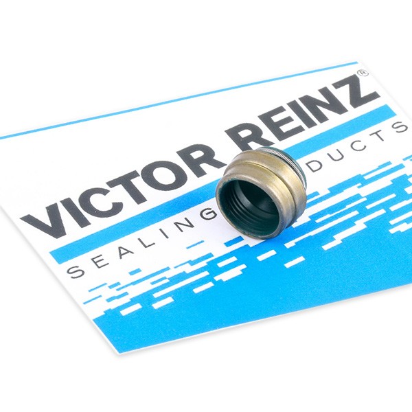 Valve stem seal REINZ 70-25837-00 - Fiat Ducato I Platform/Chassis (290) Gaskets and sealing rings spare parts order