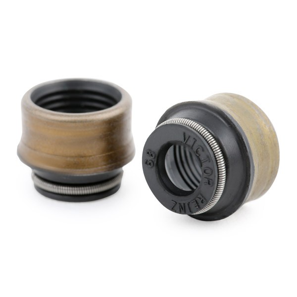Buy Valve stem seal REINZ 70-31306-00 - O-rings parts SKODA Fabia II Combi (545) online