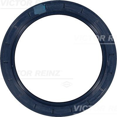 REINZ Inner Diameter: 100mm, NBR (nitrile butadiene rubber) Shaft seal, camshaft 81-33861-00 buy