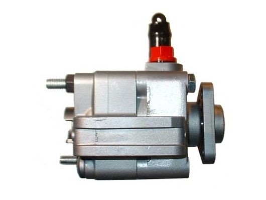 54216 Hydraulic Pump, steering system SPIDAN 54216 review and test