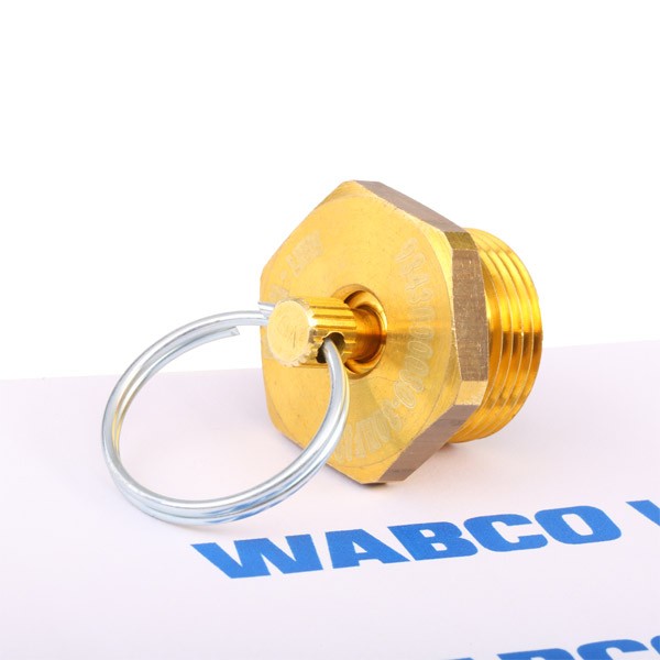 WABCO 934 300 003 0 Entwässerungsventil für VOLVO FL 12 LKW in Original Qualität